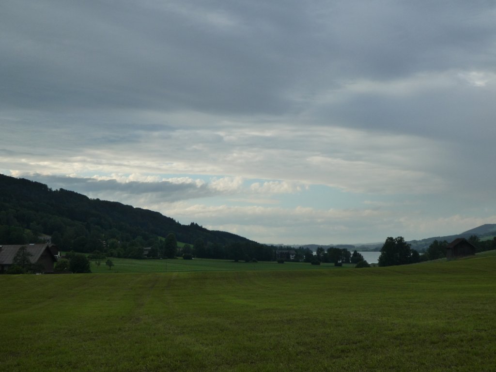 photo85.jpg