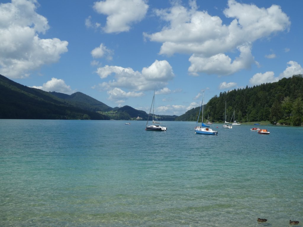 photo37.jpg
