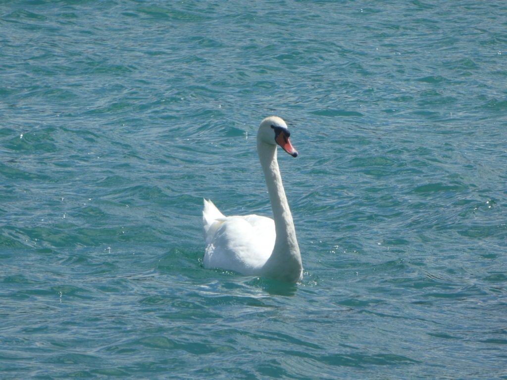 photo65.jpg