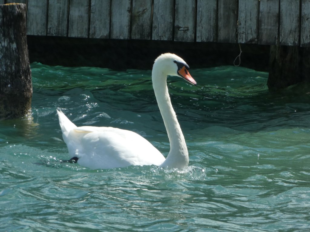 photo67.jpg
