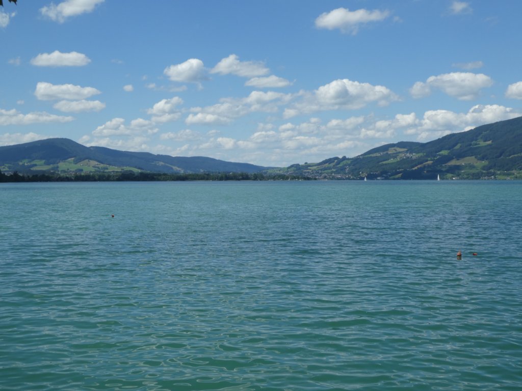 photo2.jpg
