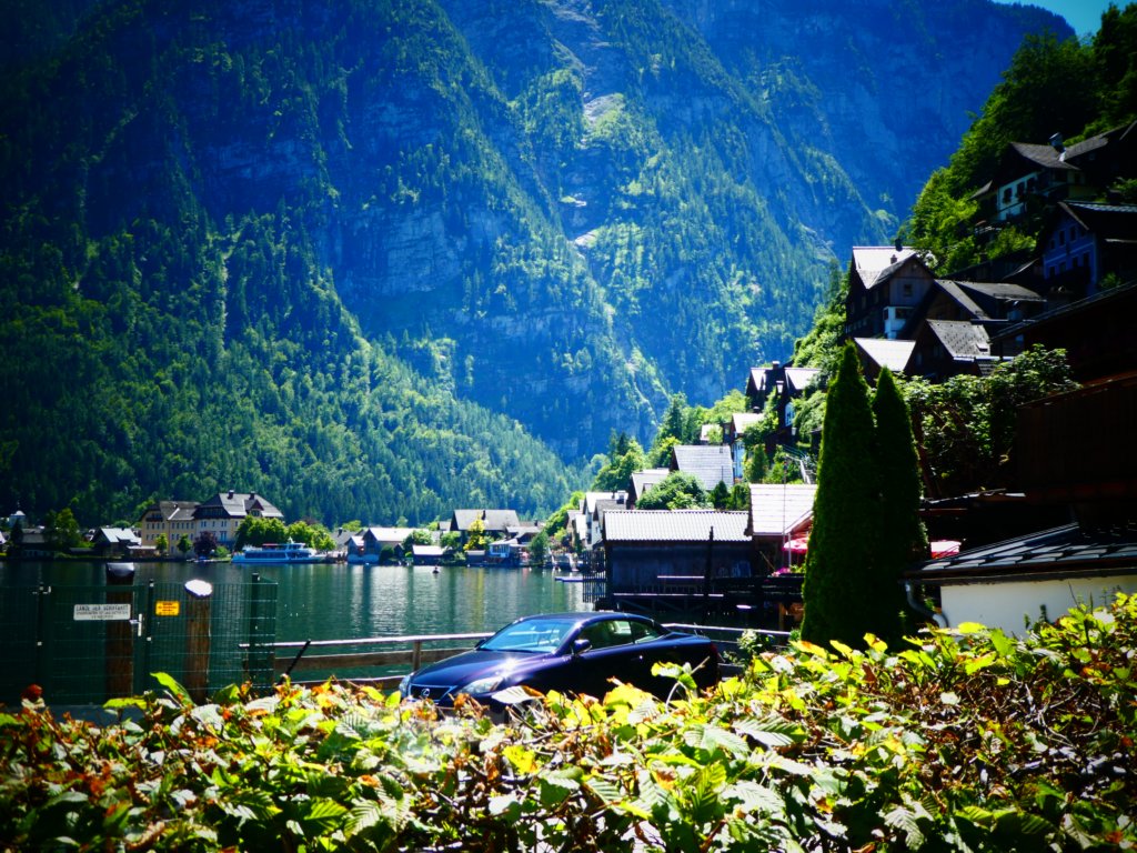photo40.jpg