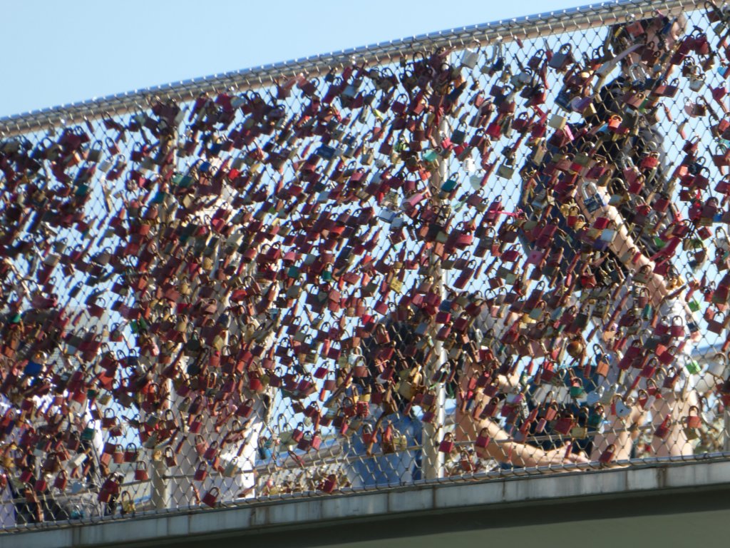 photo11.jpg