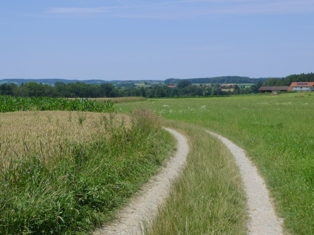 photo27.jpg