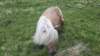 photo50_small.jpg