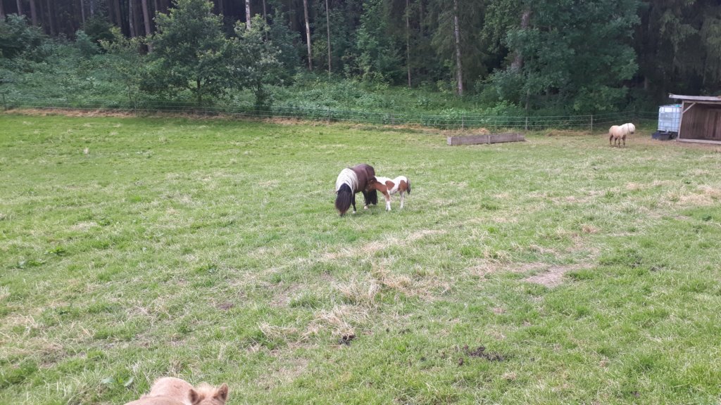 photo51.jpg