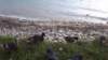photo68_small.jpg