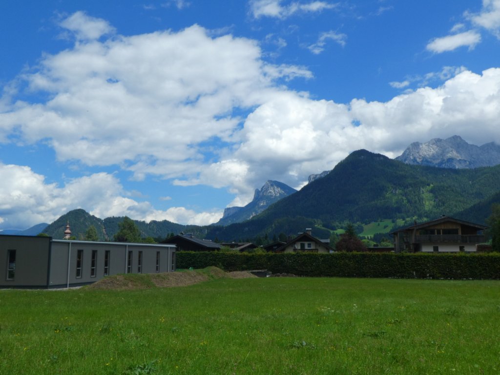 photo46.jpg