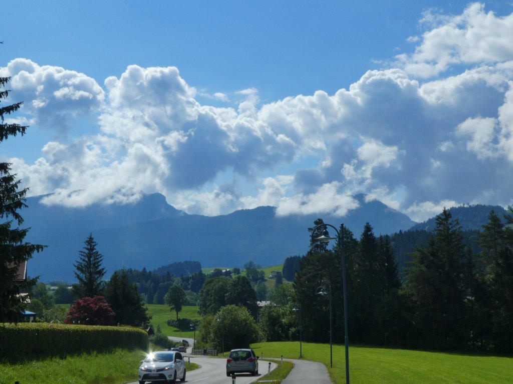 photo7.jpg