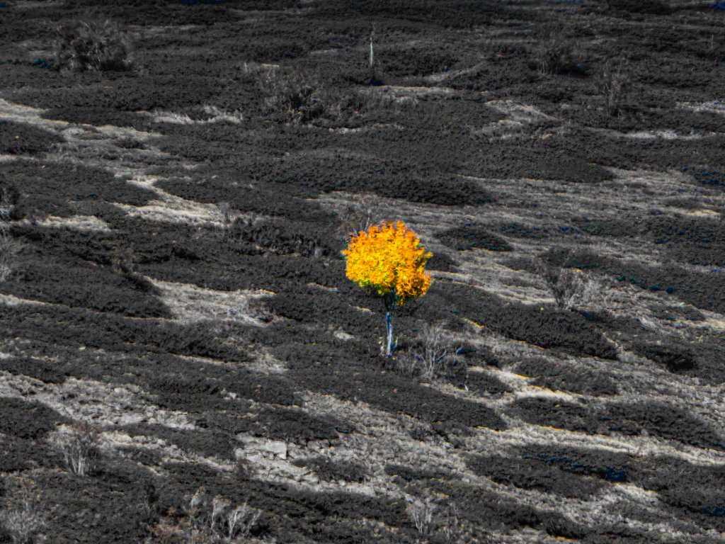photo10.jpg