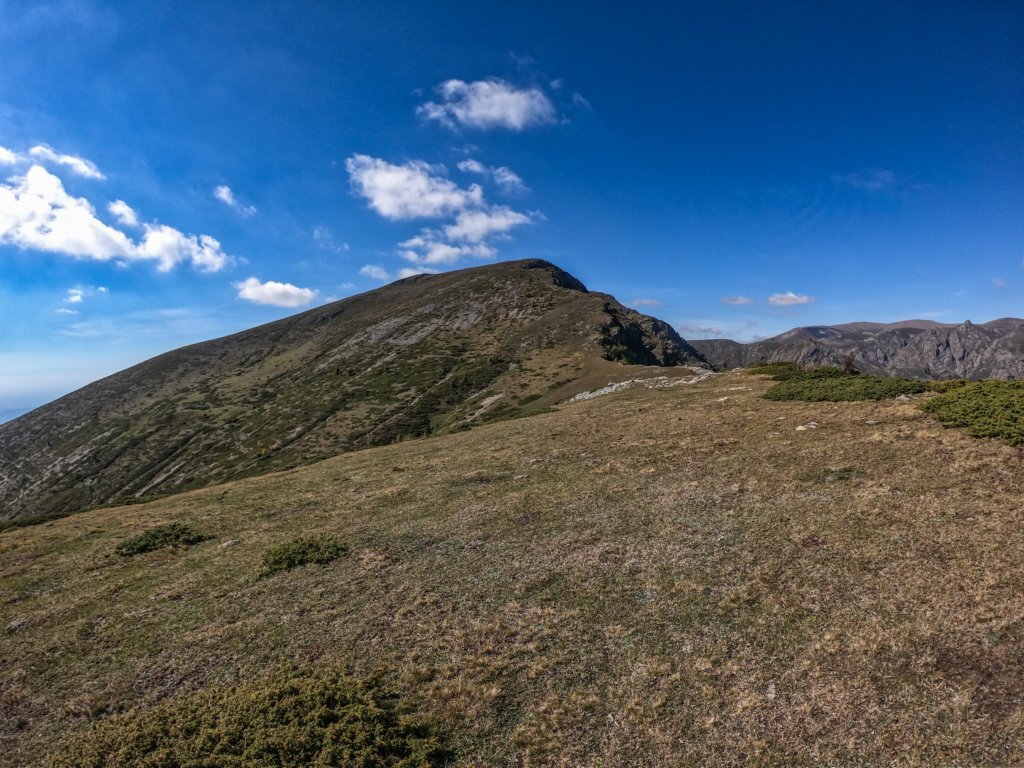 photo23.jpg