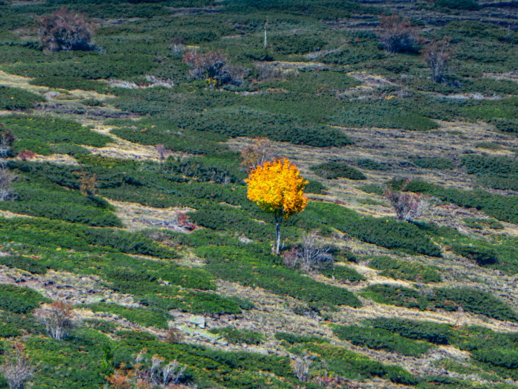 photo9.jpg