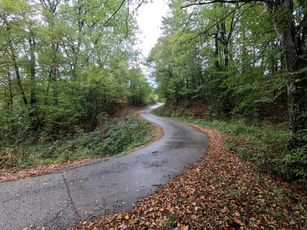 photo26.jpg