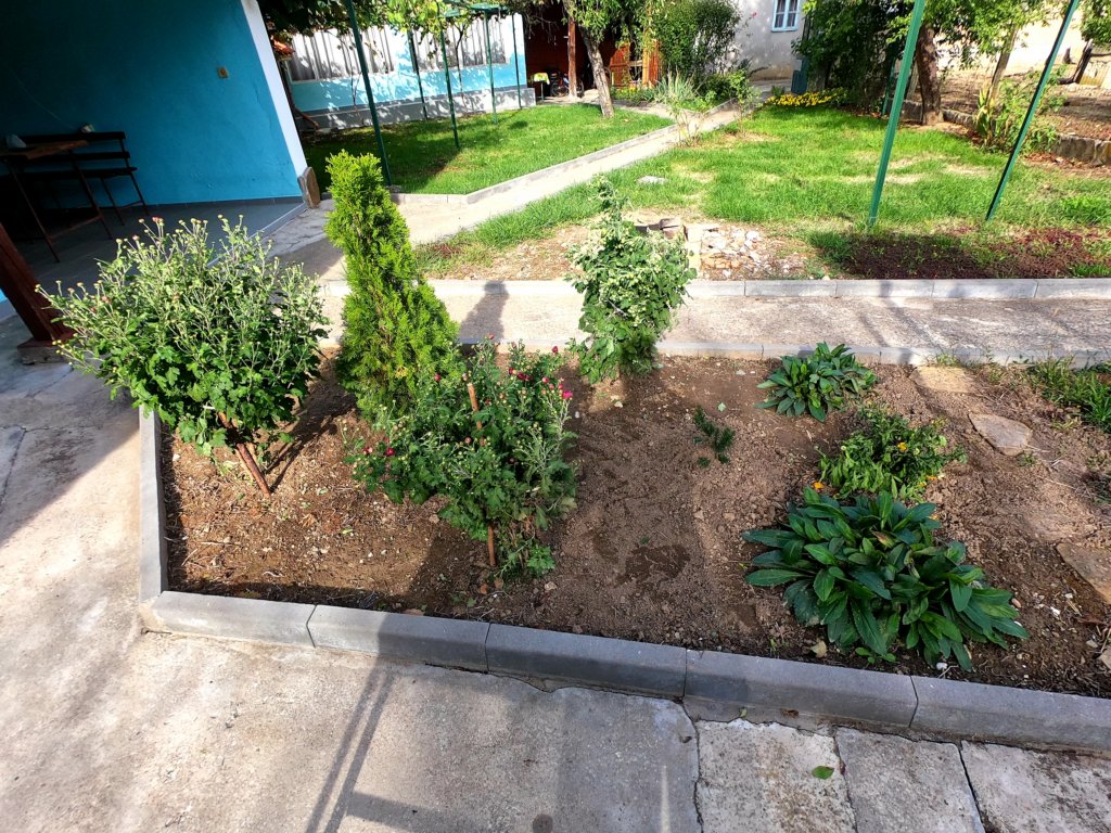 photo36.jpg