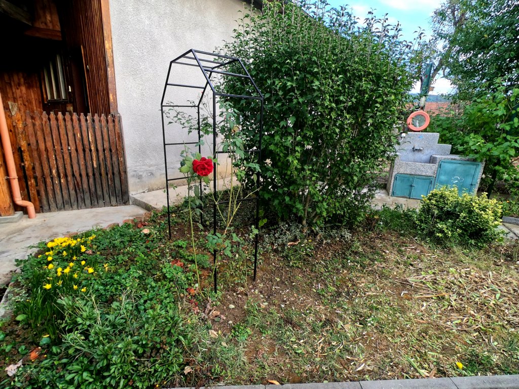 photo40.jpg