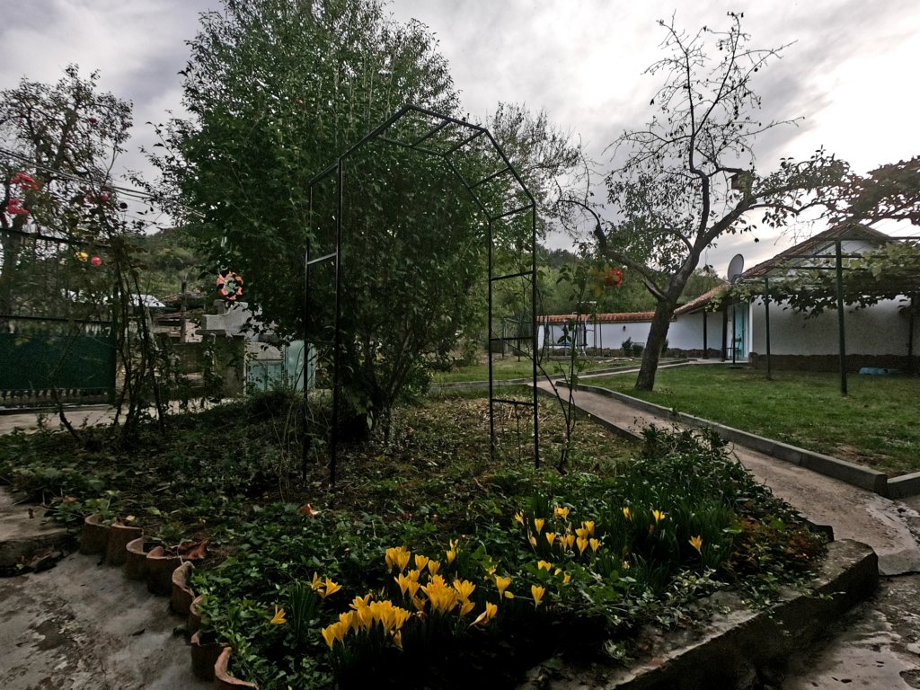 photo41.jpg