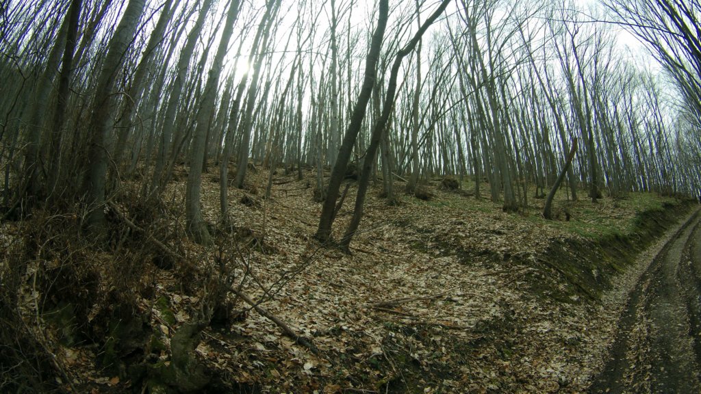 photo12.jpg