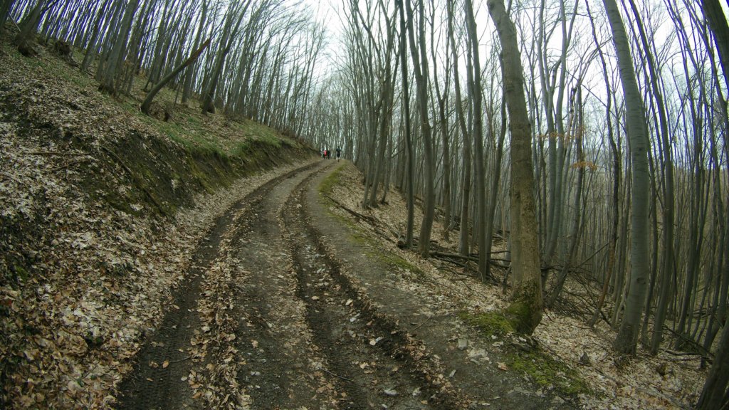 photo13.jpg