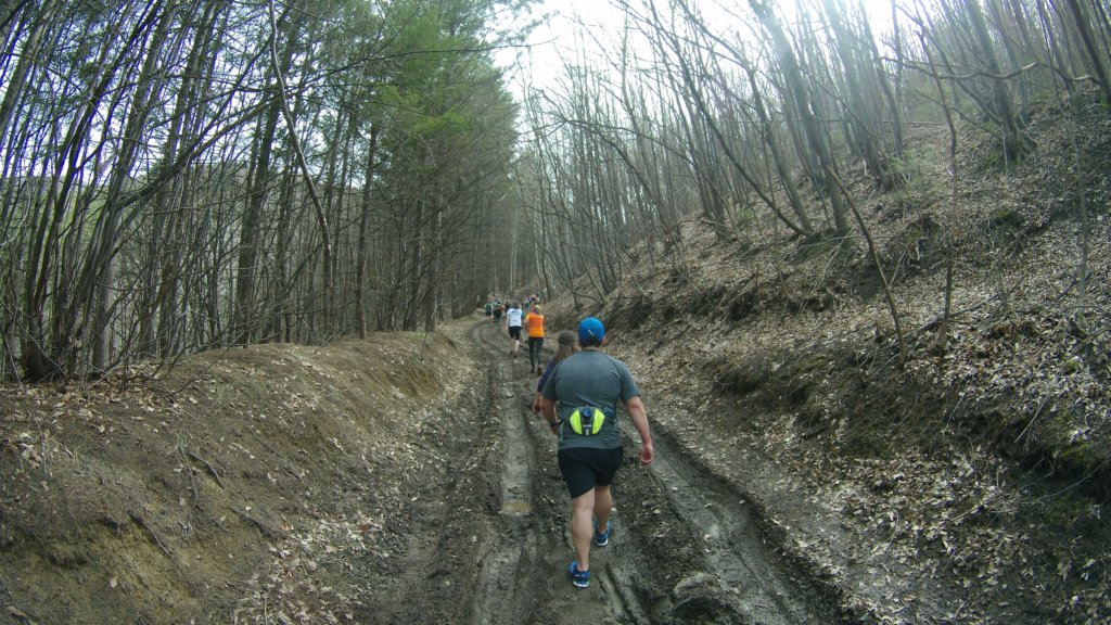 photo9.jpg