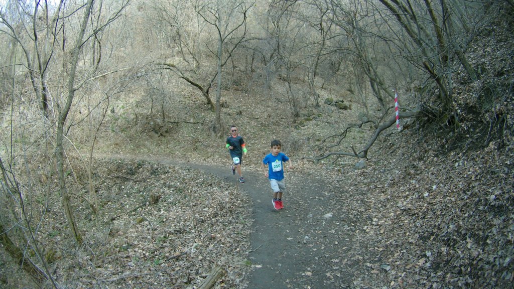 photo15.jpg