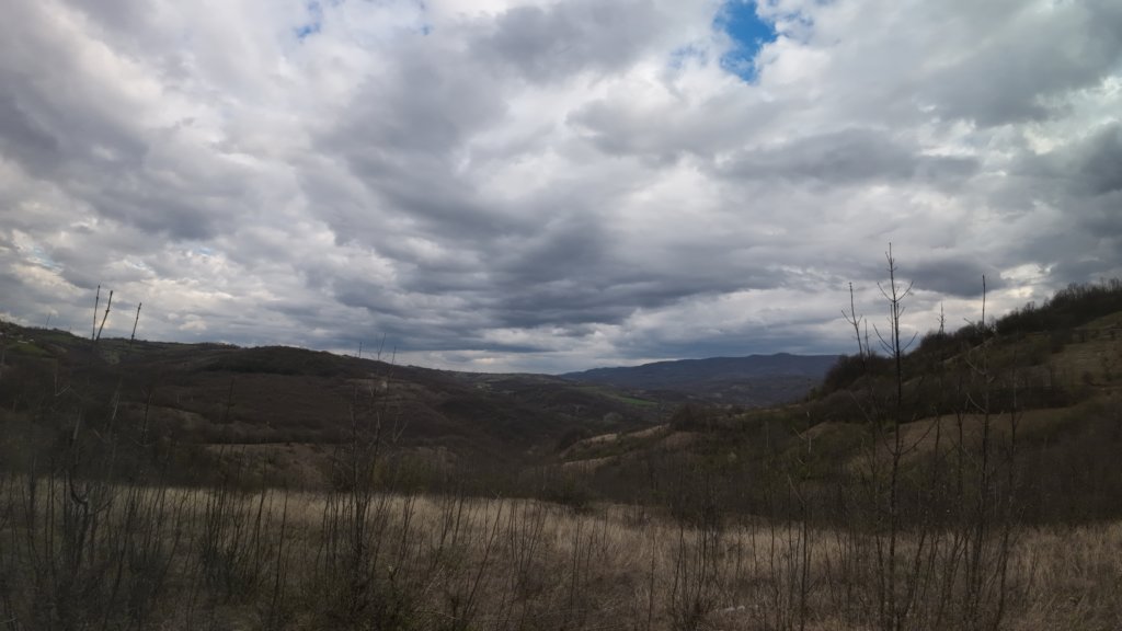 photo11.jpg