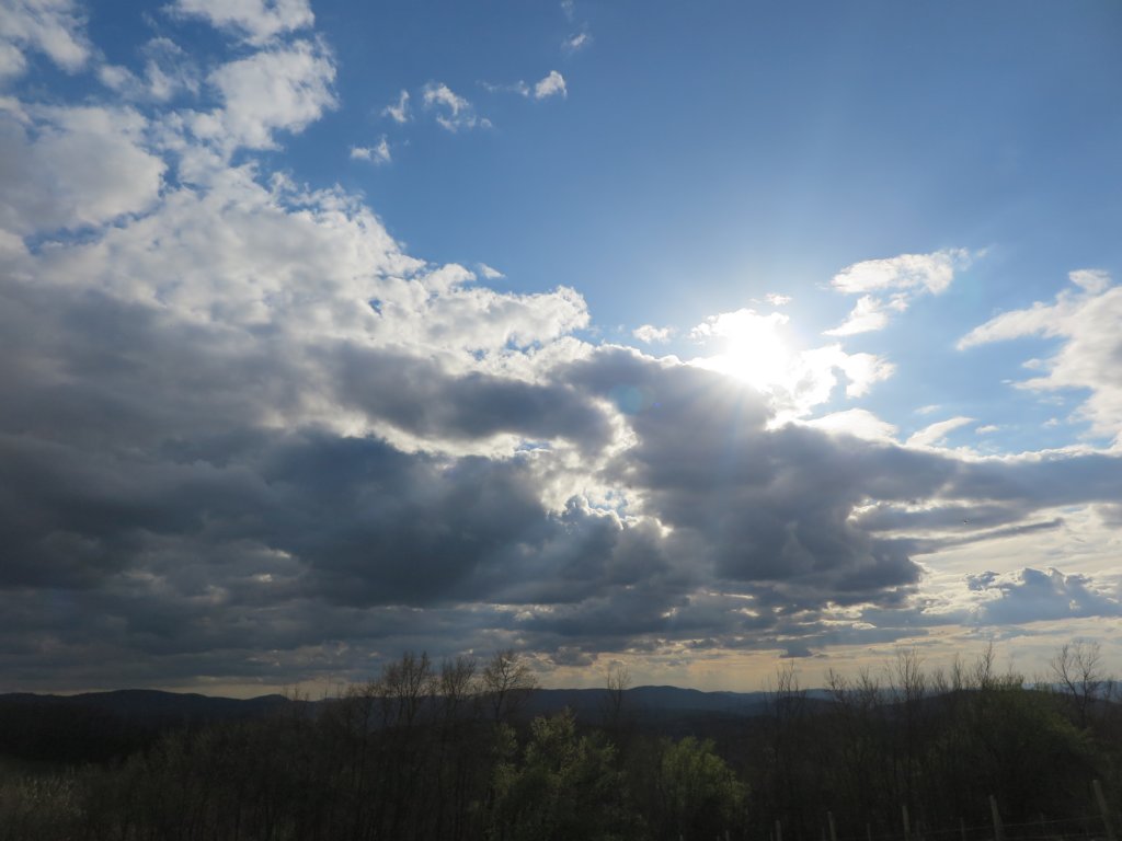 photo15.jpg