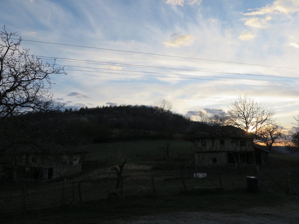 photo34.jpg