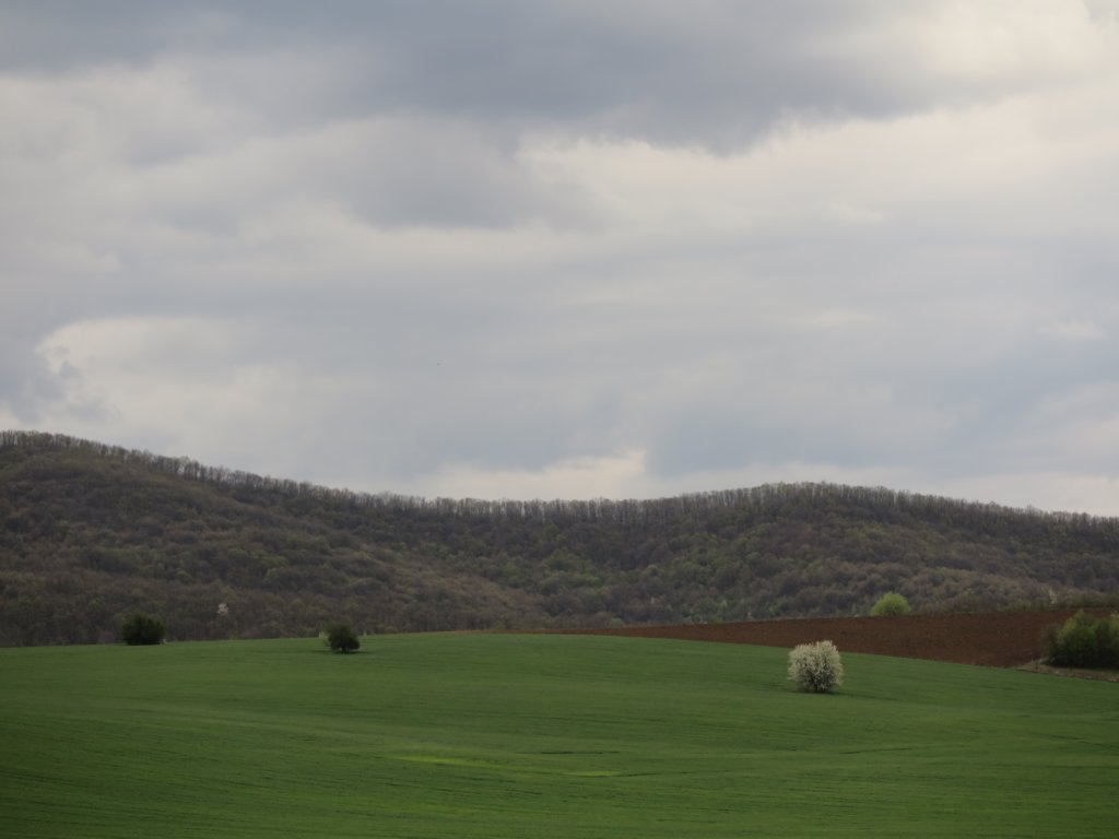 photo5.jpg