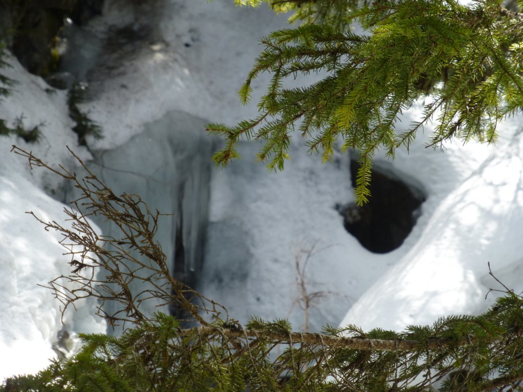 photo28.jpg