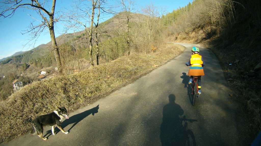 photo5.jpg