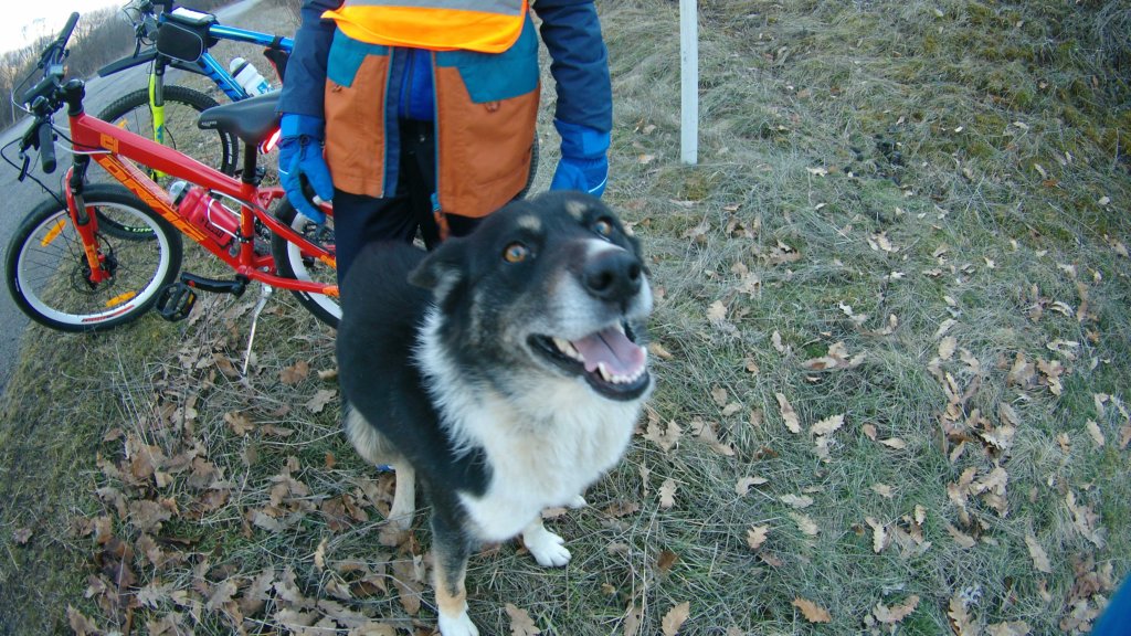 photo8.jpg