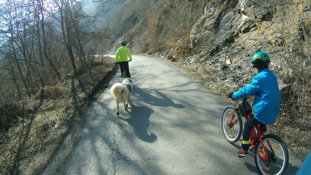 photo37.jpg
