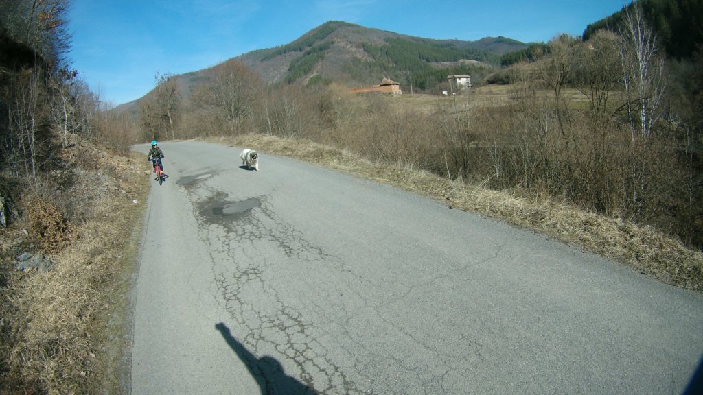 photo42.jpg