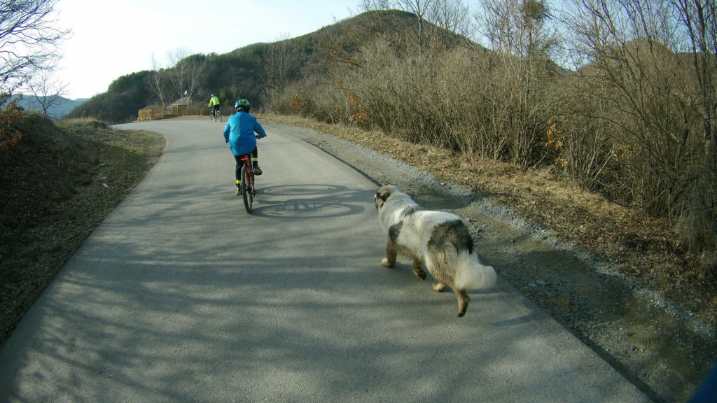 photo67.jpg