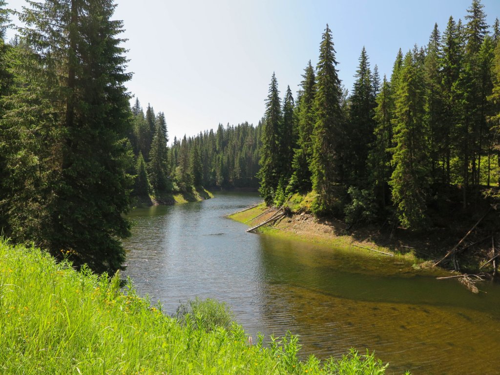 photo11.jpg
