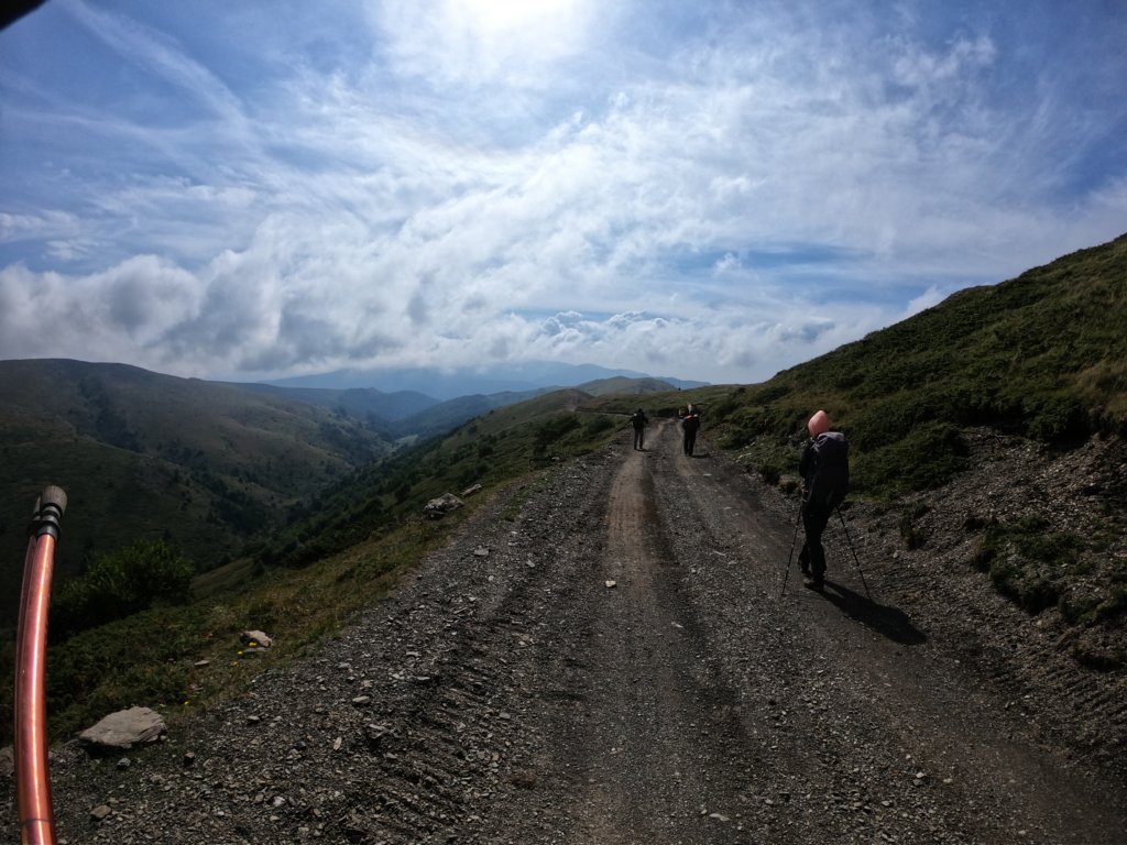 photo17.jpg