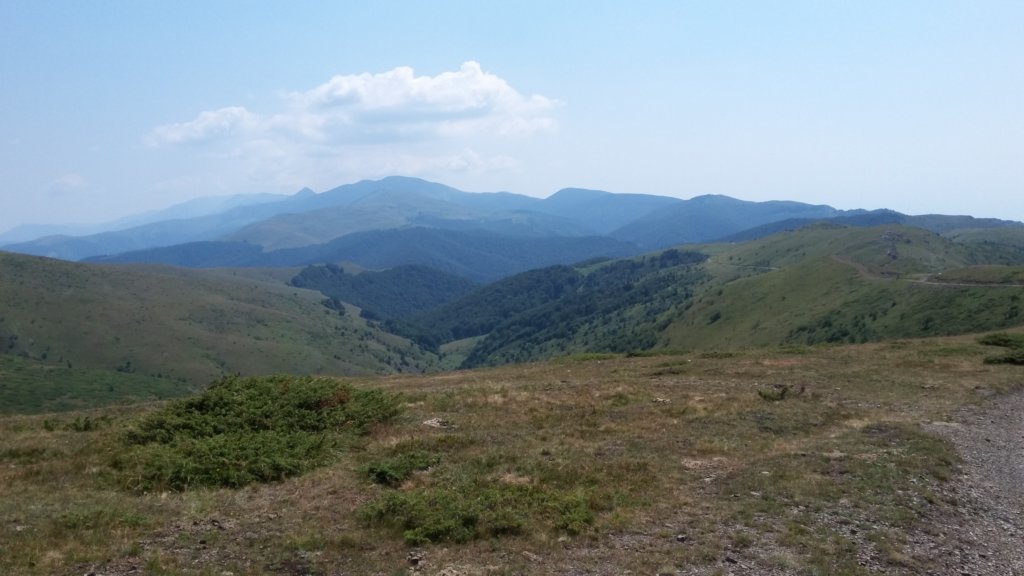 photo17.jpg