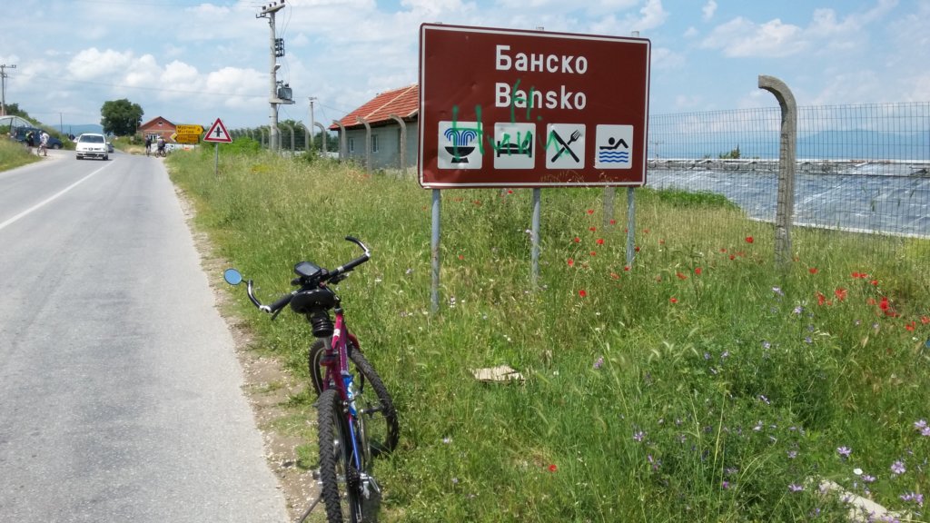 photo13.jpg