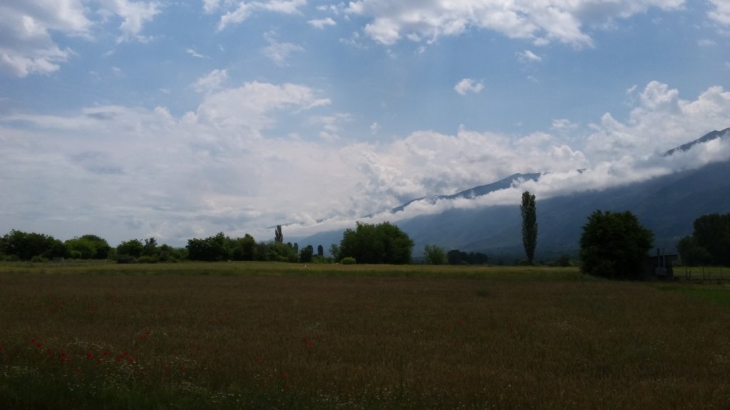 photo9.jpg