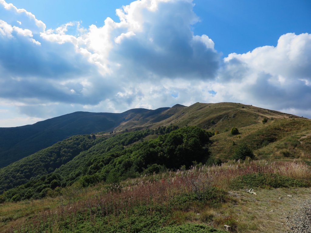 photo10.jpg