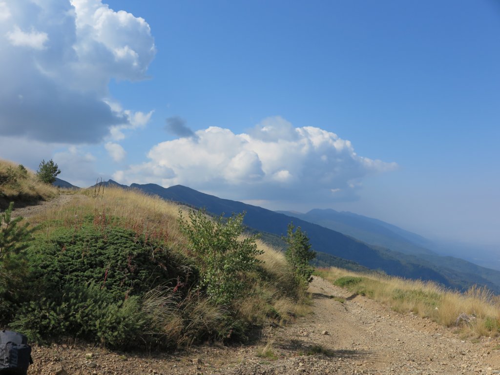 photo17.jpg