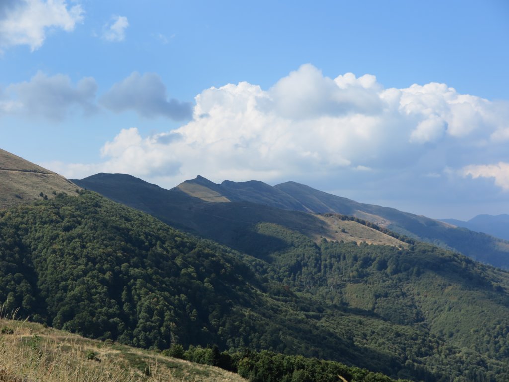 photo19.jpg