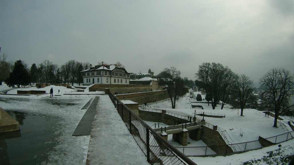 photo44.jpg