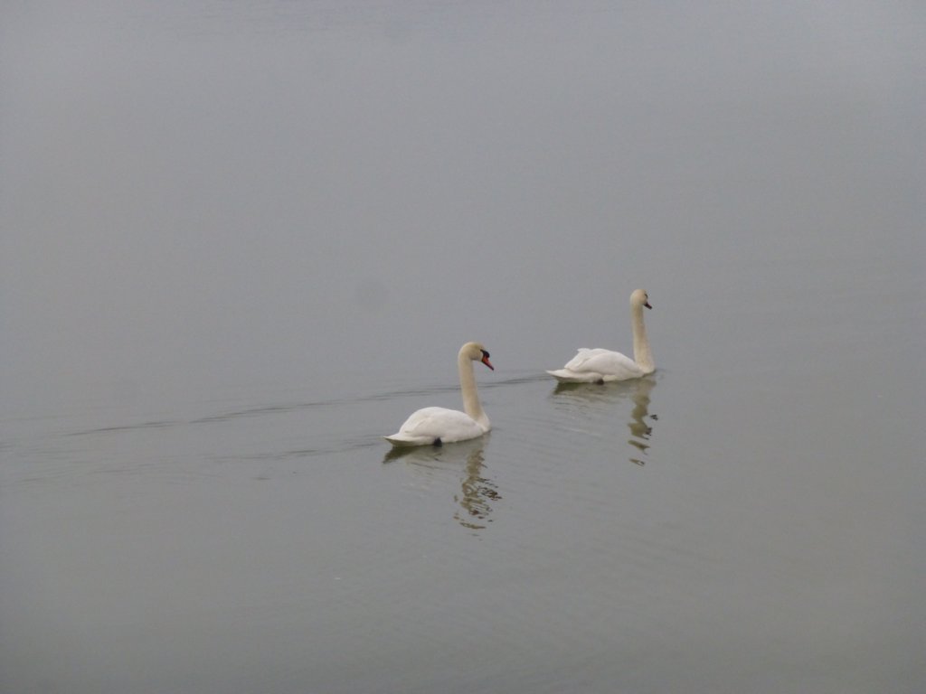 photo16.jpg