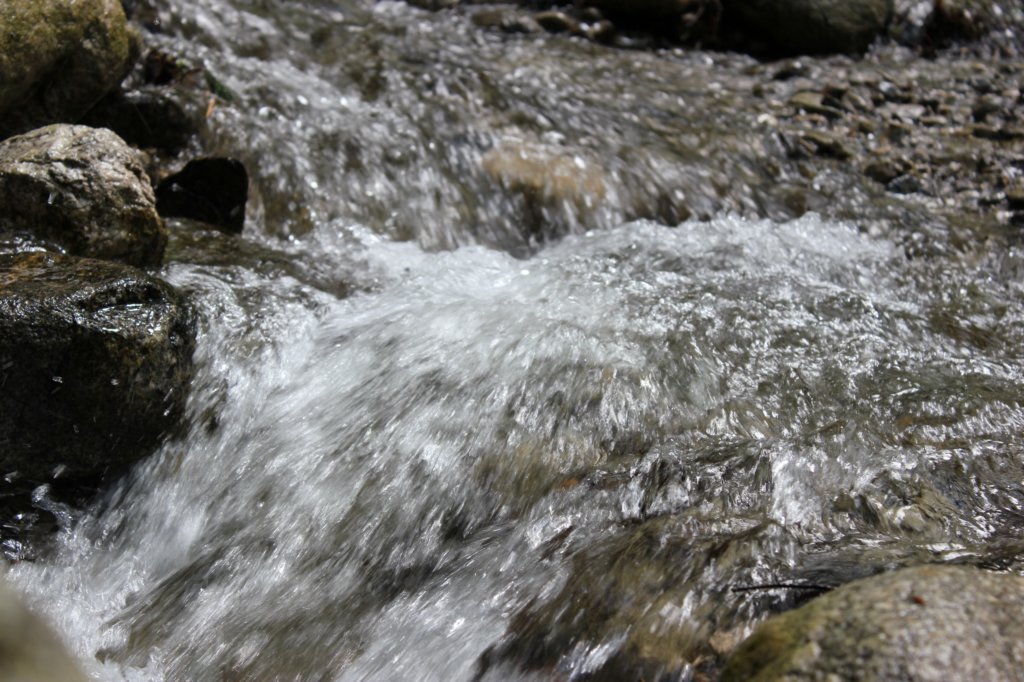 img_7142.jpg
