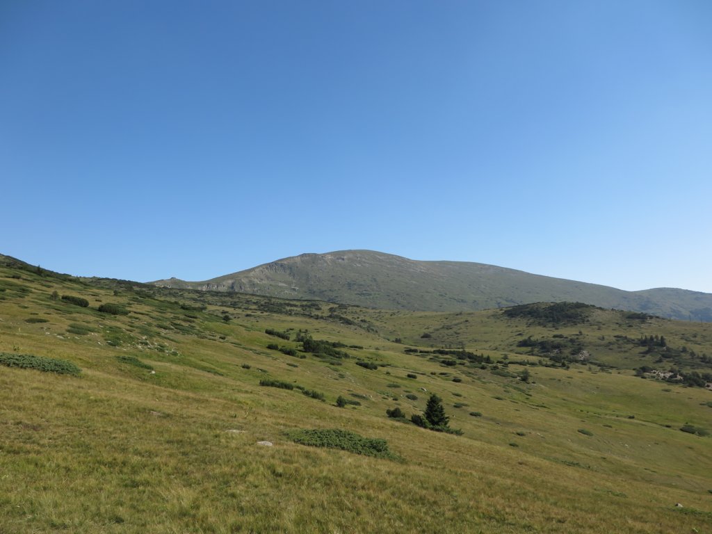 photo3.jpg