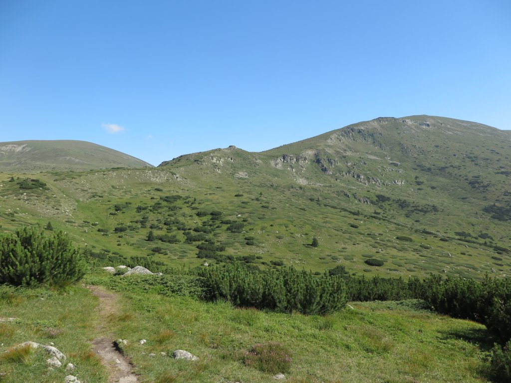 photo5.jpg