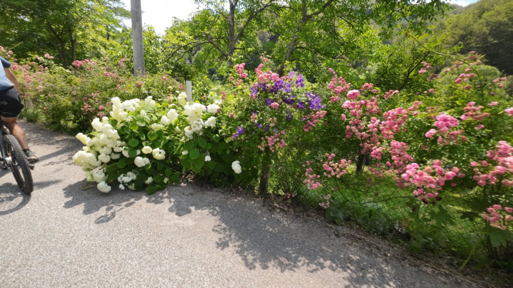 photo52.jpg