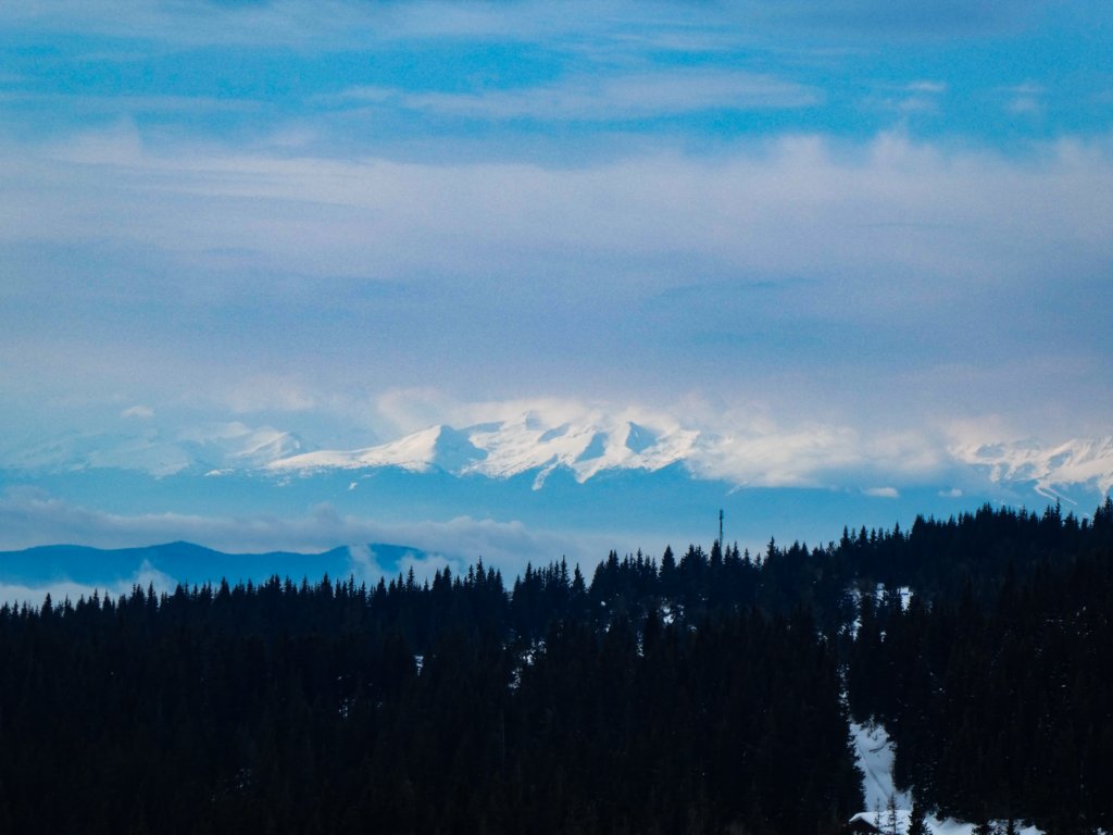 photo15.jpg