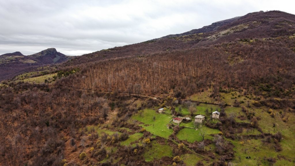 photo13.jpg